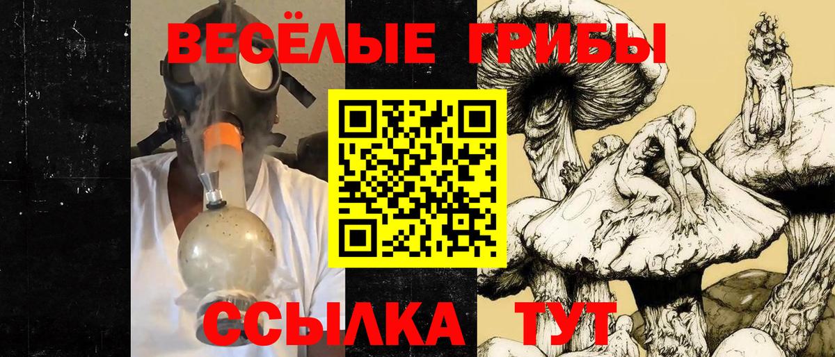 Псилоцибиновые грибы MAGIC MUSHROOMS  Вход с VPN  Учалы 